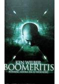 Boomeritis