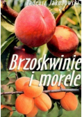 Brzoskwinie i morele