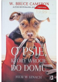 O psie, który wrócił do domu