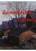 Górnośląskie krajobrazy