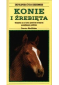 Konie i źrebięta
