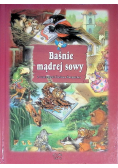 Baśnie mądrej sowy