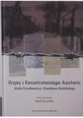 Paczyńska Irena - Gryps z Konzentrationslager Auschwitz Józefa Cyrankiewicza i Stanisława Kłodzińskiego