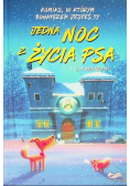 Komiks paragrafowy Jedna noc z życia psa