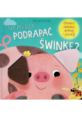 Jak to jest podrapać świnkę?