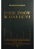 Dzieje Żydów w Galicyi Reprint z 1914 roku