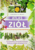 Atlas ziół Kulinarne wykorzystanie roślin dziko rosnących