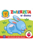 Zwierzęta w domu. Kolorowanka z grubym obrysem