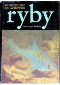 Ryby zwierzęta świata