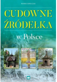 Cudowne źródełka w Polsce