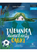 Tajemnica namokniętej gąbki