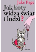 Jak koty widzą świat i ludzi