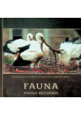 Fauna powiatu Brzeskiego