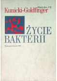Życie bakterii