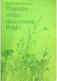 Pospolite rośliny naczyniowe Polski