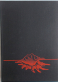 Wyspy bezludne