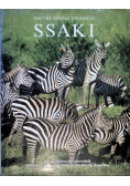 Ssaki Encyklopedia zwierząt