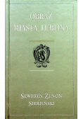 Obraz miasta Lublina