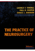 The practice of neurosurgery Vol 2