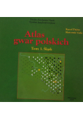 Atlas gwar polskich, Tom 3 Śląsk