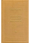 Kultura Wieków średnich