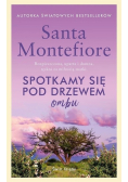Spotkamy się pod drzewem ombu