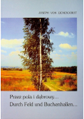 Przez pola i dąbrowy
