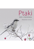 Ptaki Tatr i Podtatrza