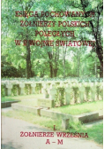 Księga pochowanych żołnierzy polskich poległych w II wojnie Tom I N - Z