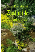 Zielnik czarodziejski