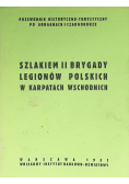 Szlakiem II Brygady Legionów Polskich w Karpatach Wschodnich