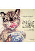 Jak kotek zwierzęta mlekiem częstował