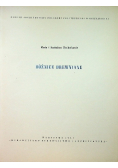 Bóżnice drewniane