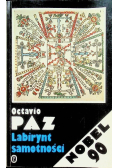 Labirynt samotności