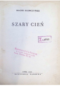 Szary cień 1948 r.