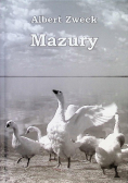 Mazury