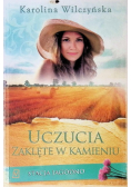 Stacja Jagodno Tom 8 Uczucia zaklęte w kamieniu