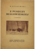 Z puszczy Białowieskiej, 1926 r.
