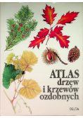 Atlas drzew i krzewów ozdobnych
