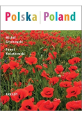 Polska Poland