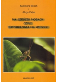 Na sześciu nogach czyli entomologia na wesoło