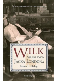 Wilk. Szlaki życia Jacka Londona