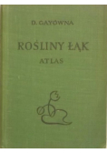 Rośliny łąk