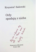 Orły spadają z nieba