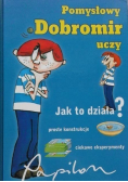 Pomysłowy Dobromir uczy