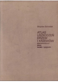 Atlas uszkodzeń drzew i krzewów