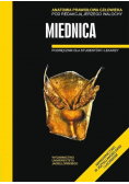 Anatomia prawidłowa człowieka. Miednica