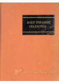 Mały poradnik odlewnika