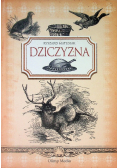 Dziczyzna