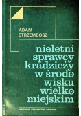 Nieletni sprawcy kradzieży w środowisku wielkomiejskim